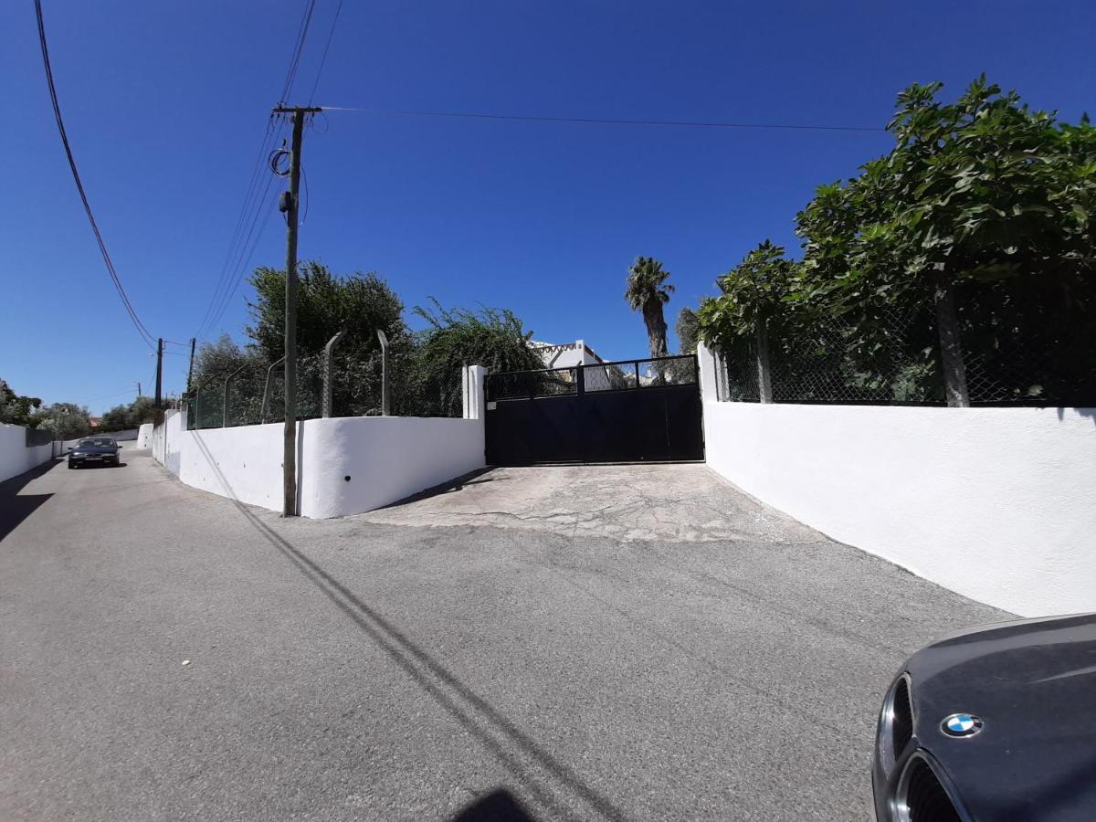 Casa Das 3 Palmeiras Arraiolos Bagian luar foto