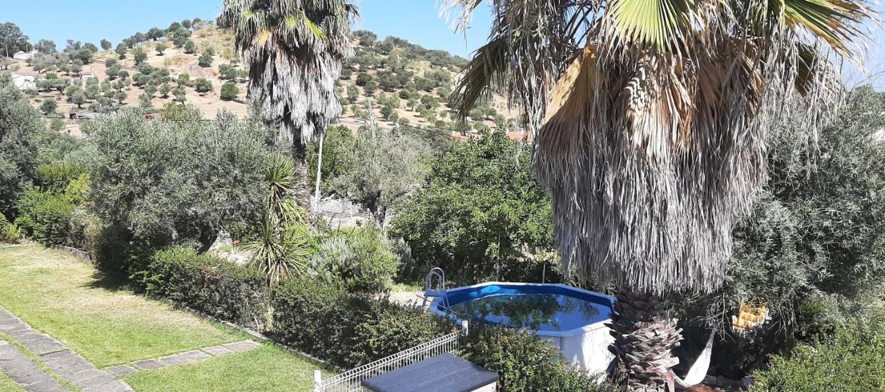 Casa Das 3 Palmeiras Arraiolos Bagian luar foto