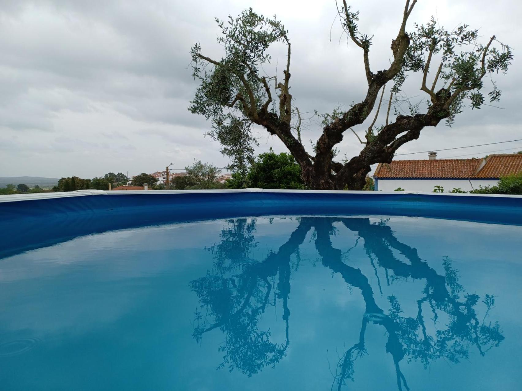 Casa Das 3 Palmeiras Arraiolos Bagian luar foto