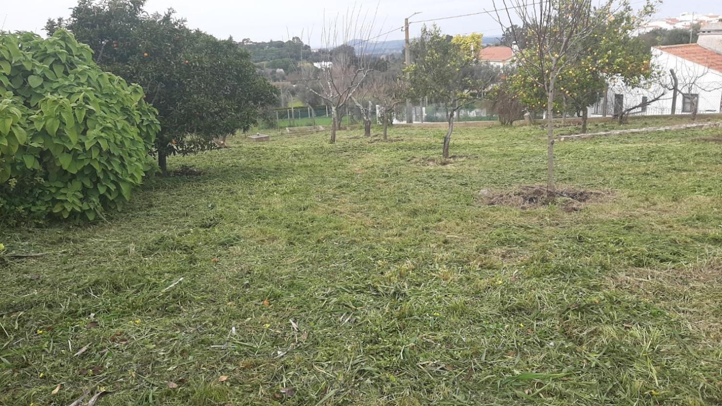 Casa Das 3 Palmeiras Arraiolos Bagian luar foto
